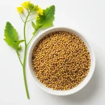MOSTAZA EN GRANO